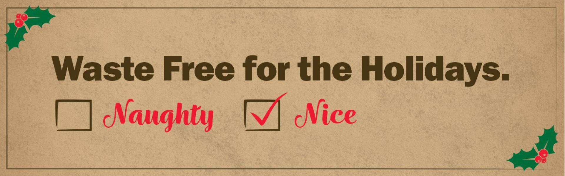 Waste Free Holidays