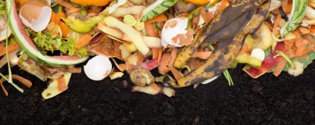 home composting