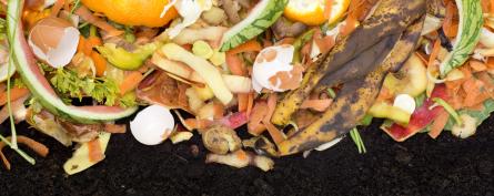 Regional organics compost facility